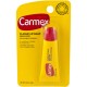 CARMEX CLASSIC LIP BALM MEDICATED 12 PACK