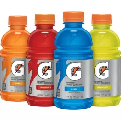 GATORADE  SPORTS DRINK