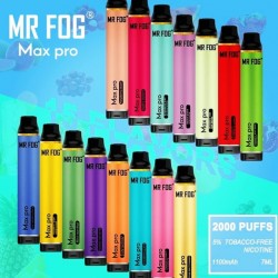 MR FOG MAX PRO 2000P