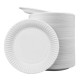 9" UNCOATED DISPOSABLE PAPER PLATES 10/100CT