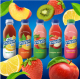 Snapple Juice Drinks 12Pack 16Oz