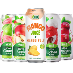 VINUT JUICE 500ML 12CT