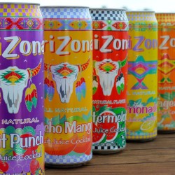 Arizona Drinks 24ct 22oz