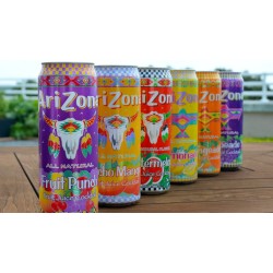 Arizona Drinks 24ct 22oz