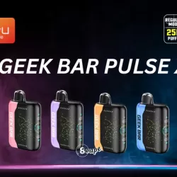 GEEK BAR PULSE X 25 PUFFS 5CT