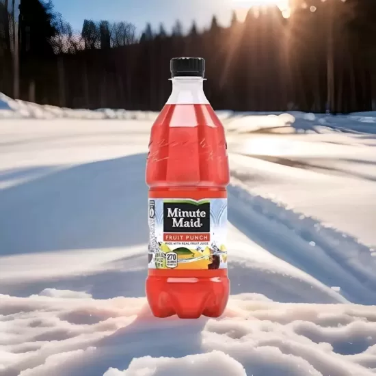 Minute Maid 24ct 20oz